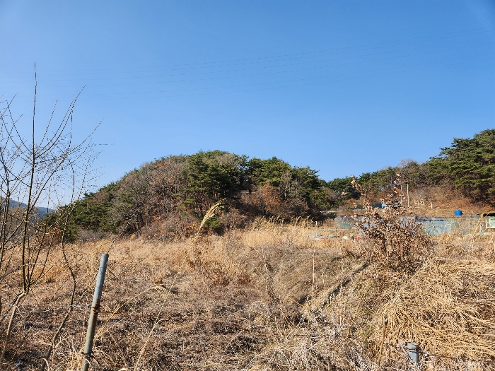 광주광역시 북구 청풍동 1205-3 전 경매 사진 5