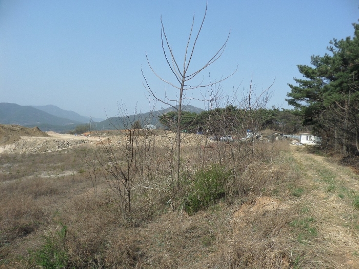 충청남도 홍성군 홍북읍 중계리 456-34 외 15필지 도로 경매 사진 28