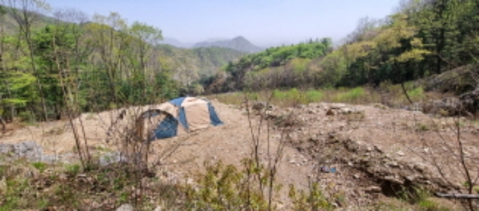 경기도 가평군 청평면 고성리 산165 외 10필지 임야 경매 사진 11