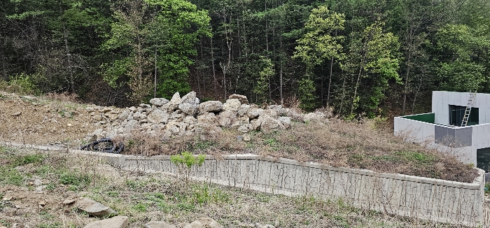 경기도 가평군 청평면 고성리 산165 외 10필지 임야 경매 사진 41