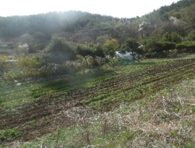 충청남도 서산시 성연면 명천리 103-5 전 경매 사진 60