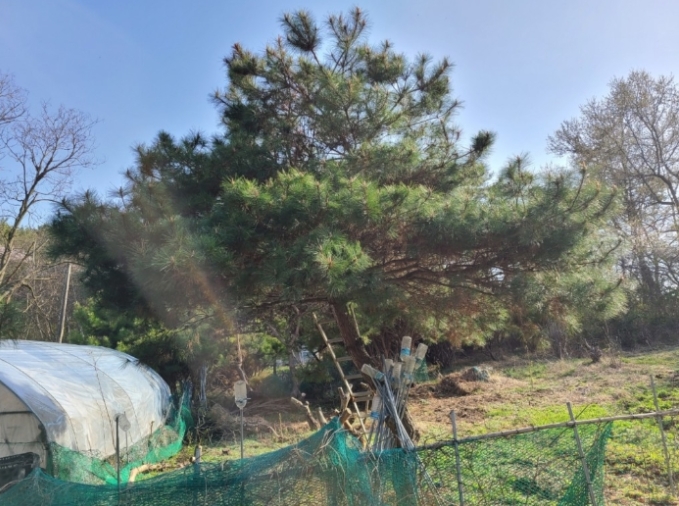 충청남도 서산시 성연면 명천리 103-5 전 경매 사진 75