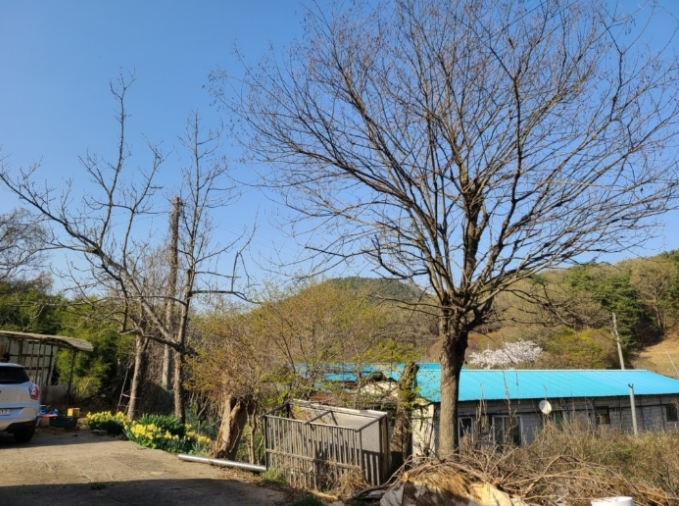 충청남도 서산시 성연면 명천리 103-5 전 경매 사진 76