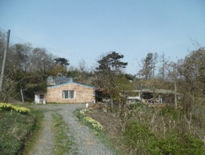 충청남도 서산시 성연면 명천리 103-5 전 경매 사진 78