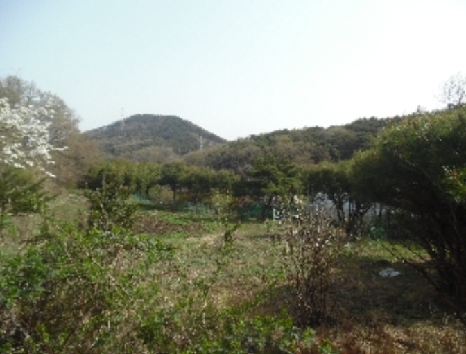 충청남도 서산시 성연면 명천리 103-5 전 경매 사진 62