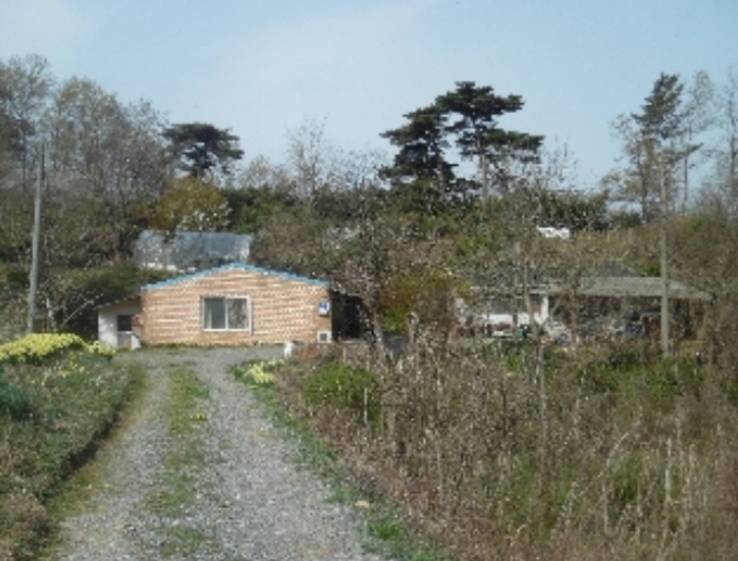충청남도 서산시 성연면 명천리 103-5 전 경매 사진 63