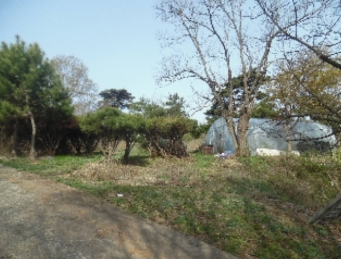 충청남도 서산시 성연면 명천리 103-5 전 경매 사진 64