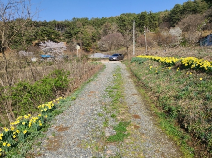 충청남도 서산시 성연면 명천리 103-5 전 경매 사진 66