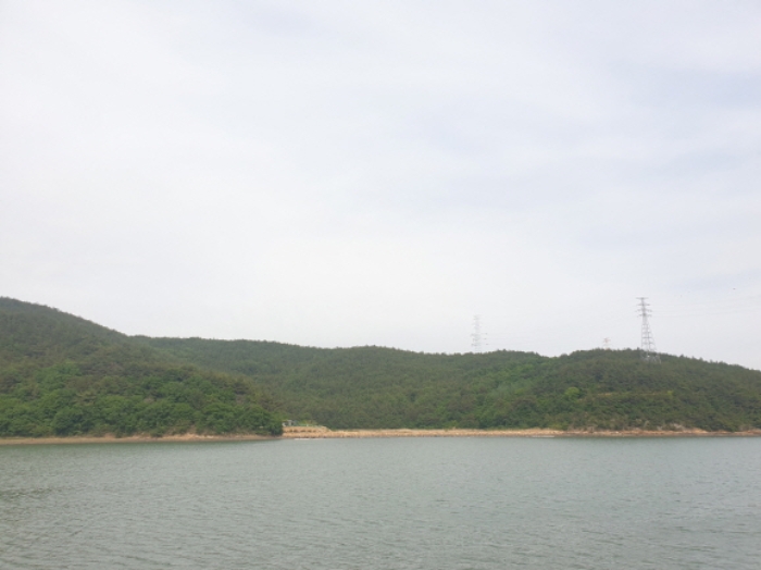 전라남도 광양시 진월면 망덕리 산139-17 임야 경매 사진 6