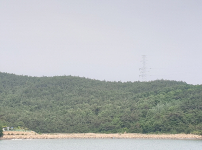 전라남도 광양시 진월면 망덕리 산139-17 임야 경매 사진 7