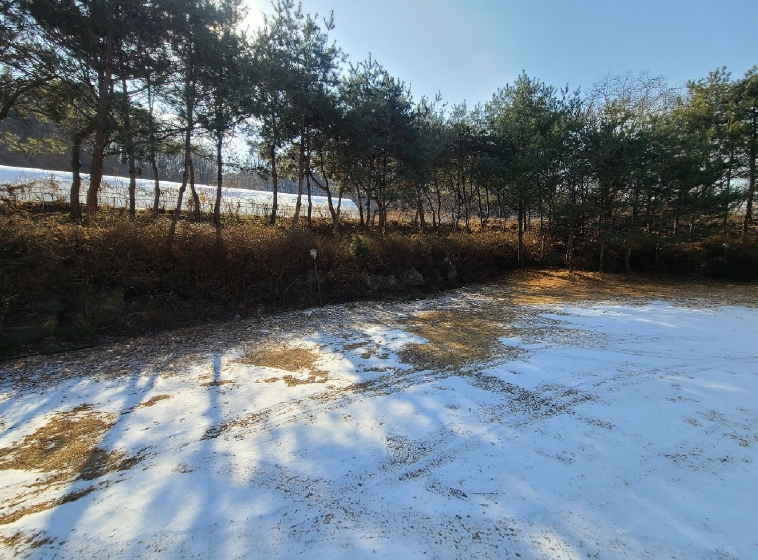 충청남도 천안시 동남구 병천면 관성리 398 외 3필지 숙박시설 경매 사진 18