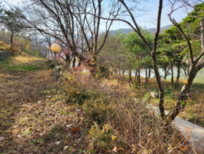 충청남도 천안시 동남구 병천면 관성리 398 외 3필지 숙박시설 경매 사진 6