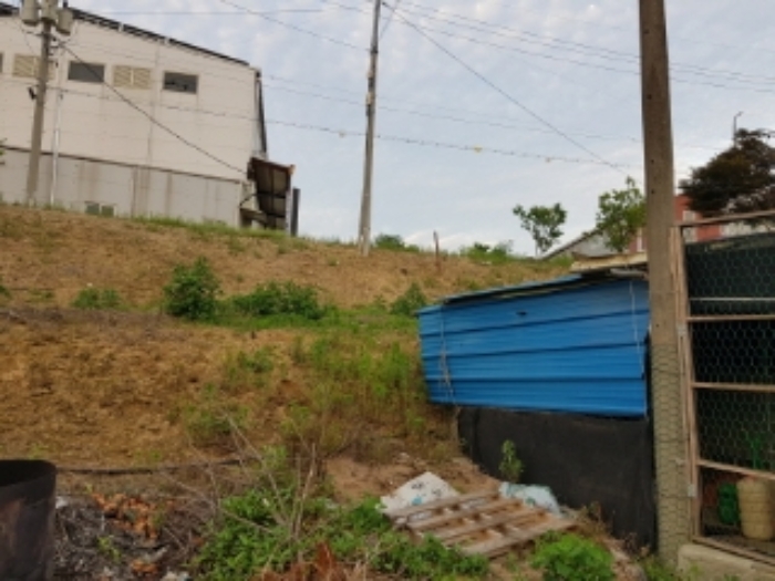 충청남도 당진시 송악읍 청금리 316-51 외 7필지 임야 경매 사진 19