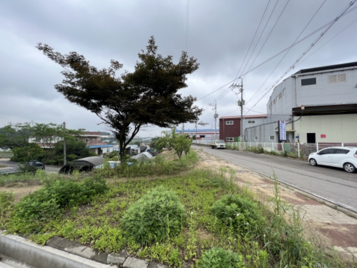 충청남도 당진시 송악읍 청금리 316-51 외 7필지 임야 경매 사진 37