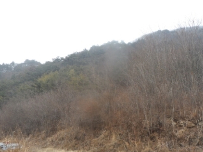 강원도 평창군 대화면 대화리 594-4 전 경매 사진 3