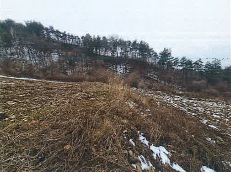 강원도 평창군 대화면 대화리 600-3 전 경매 사진 1