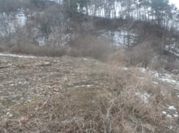 강원도 평창군 대화면 대화리 600-3 전 경매 사진 2