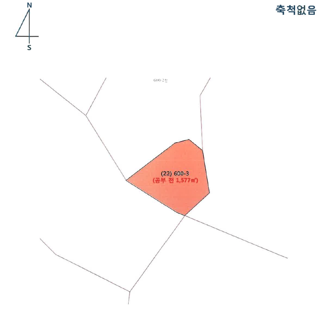 강원도 평창군 대화면 대화리 600-3 전 경매 사진 4