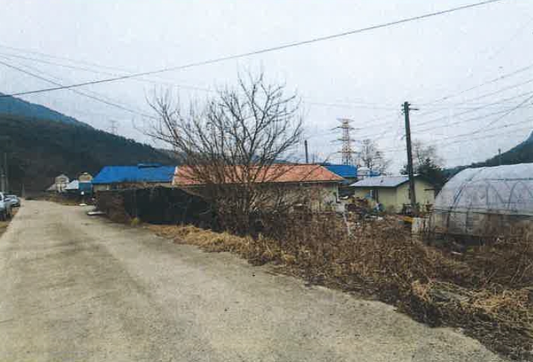 강원도 평창군 대화면 하안미리 1440-1 외 4필지 동물및식물관련시설 경매 사진 1