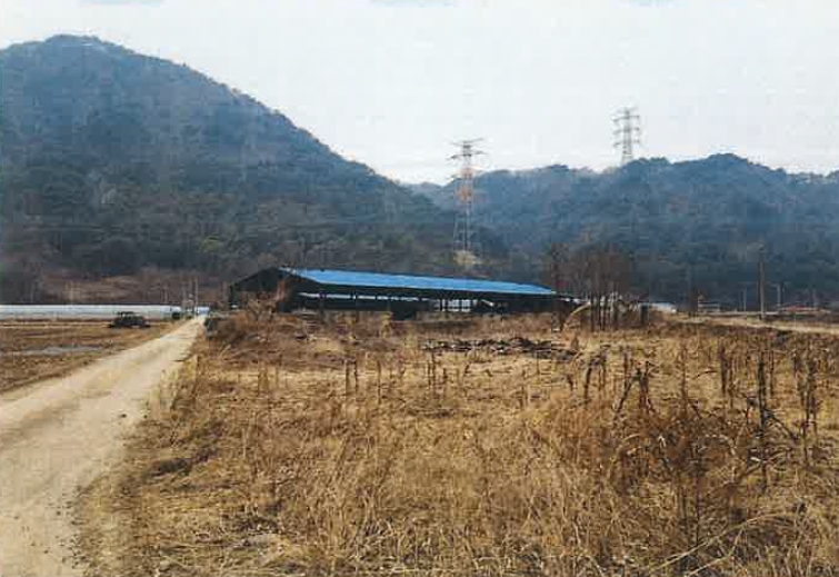 강원도 평창군 대화면 하안미리 1440-1 외 4필지 동물및식물관련시설 경매 사진 2
