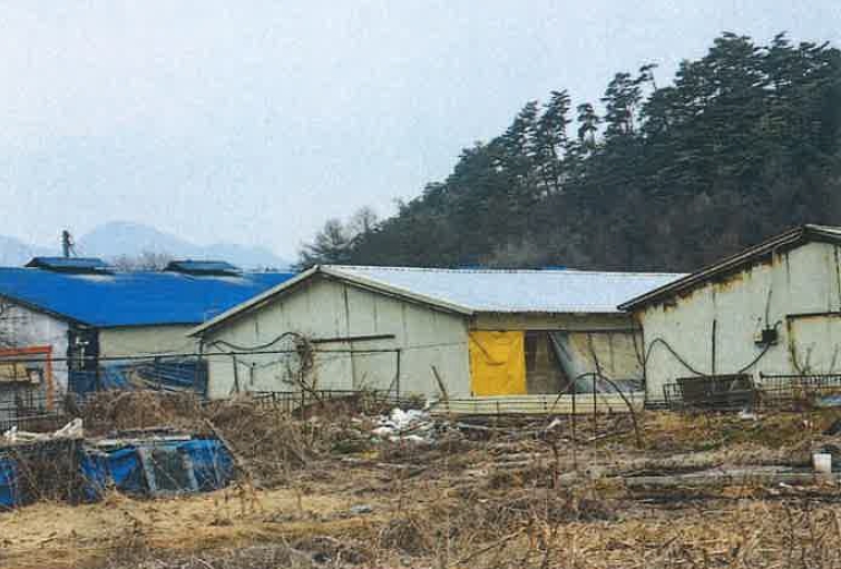 강원도 평창군 대화면 하안미리 1440-1 외 4필지 동물및식물관련시설 경매 사진 11