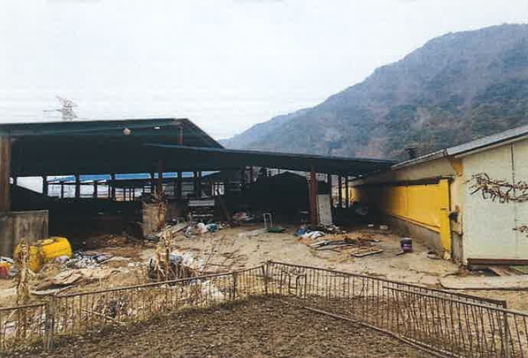 강원도 평창군 대화면 하안미리 1440-1 외 4필지 동물및식물관련시설 경매 사진 12