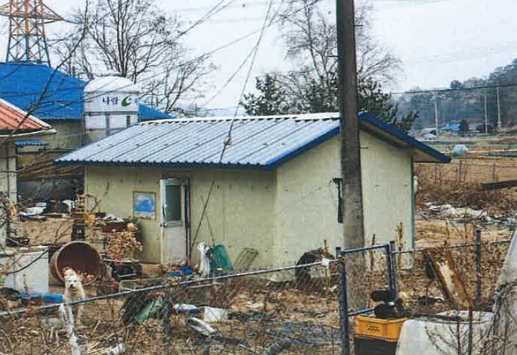 강원도 평창군 대화면 하안미리 1440-1 외 4필지 동물및식물관련시설 경매 사진 13