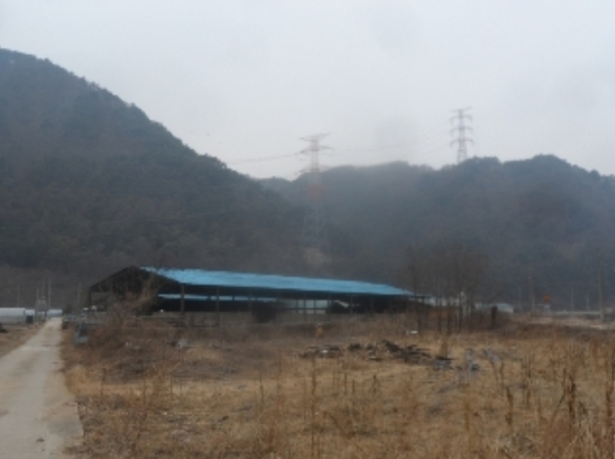 강원도 평창군 대화면 하안미리 1440-1 외 4필지 동물및식물관련시설 경매 사진 15