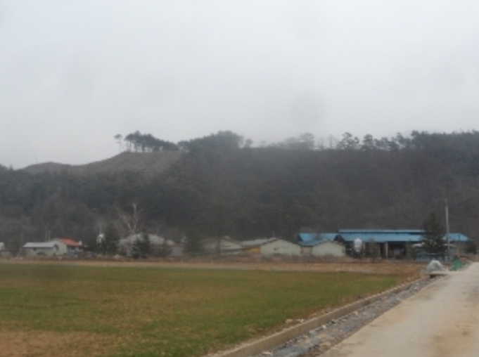 강원도 평창군 대화면 하안미리 1440-1 외 4필지 동물및식물관련시설 경매 사진 16