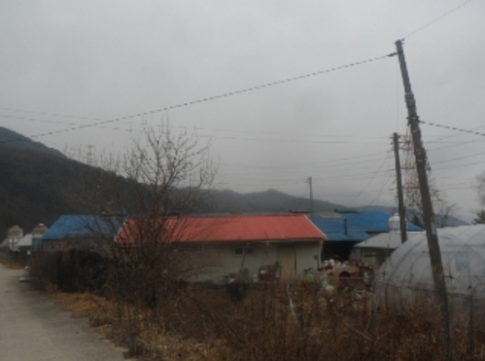 강원도 평창군 대화면 하안미리 1440-1 외 4필지 동물및식물관련시설 경매 사진 17