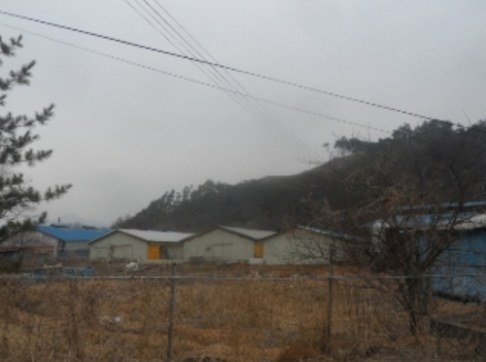 강원도 평창군 대화면 하안미리 1440-1 외 4필지 동물및식물관련시설 경매 사진 18