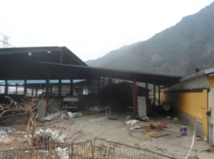 강원도 평창군 대화면 하안미리 1440-1 외 4필지 동물및식물관련시설 경매 사진 19