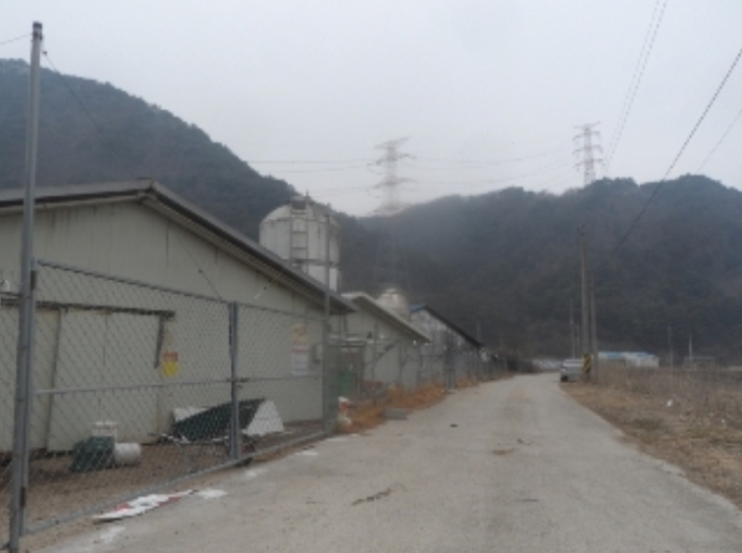 강원도 평창군 대화면 하안미리 1440-1 외 4필지 동물및식물관련시설 경매 사진 25