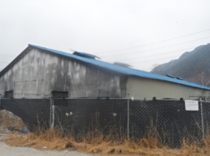 강원도 평창군 대화면 하안미리 1440-1 외 4필지 동물및식물관련시설 경매 사진 27