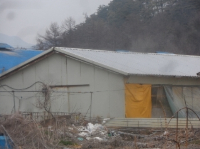 강원도 평창군 대화면 하안미리 1440-1 외 4필지 동물및식물관련시설 경매 사진 30