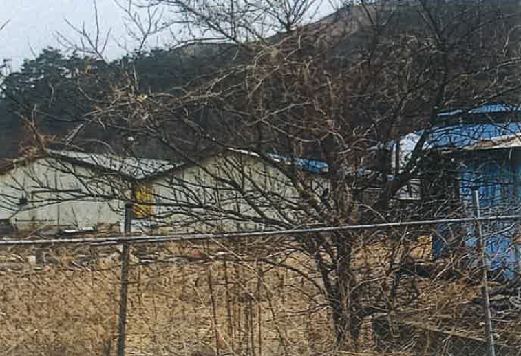 강원도 평창군 대화면 하안미리 1440-1 외 4필지 동물및식물관련시설 경매 사진 7