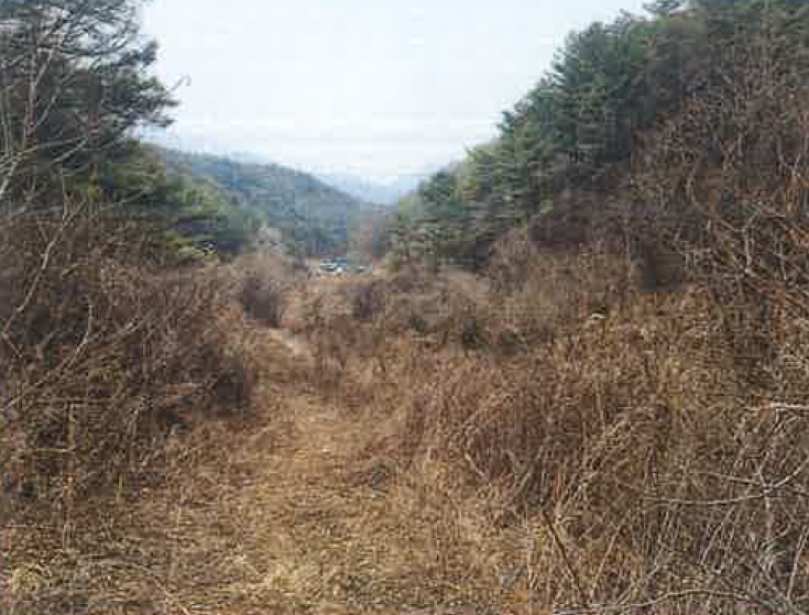 강원도 평창군 대화면 하안미리 1490 외 6필지 전 경매 사진 4
