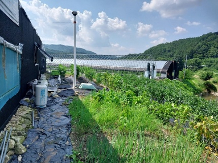 충청남도 공주시 계룡면 구왕리 298-3 답 경매 사진 1