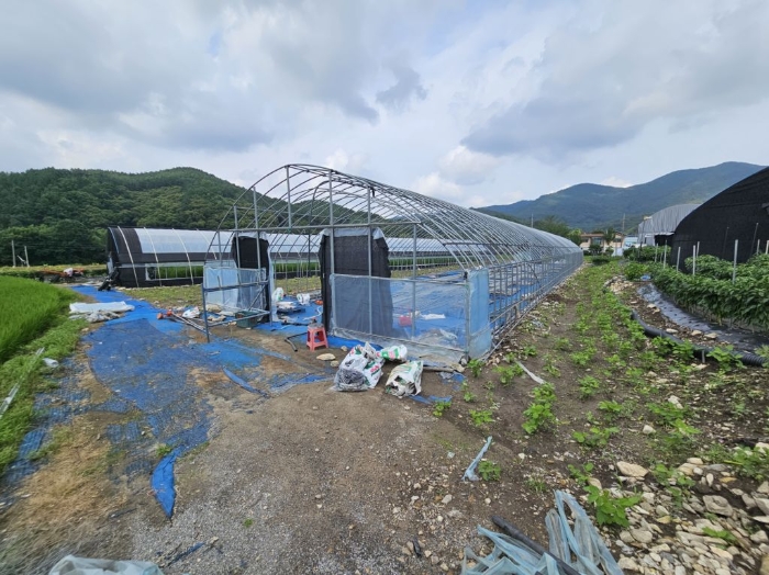 충청남도 공주시 계룡면 구왕리 298-3 답 경매 사진 5