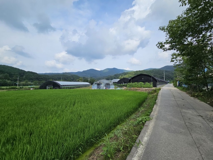 충청남도 공주시 계룡면 구왕리 298-3 답 경매 사진 6