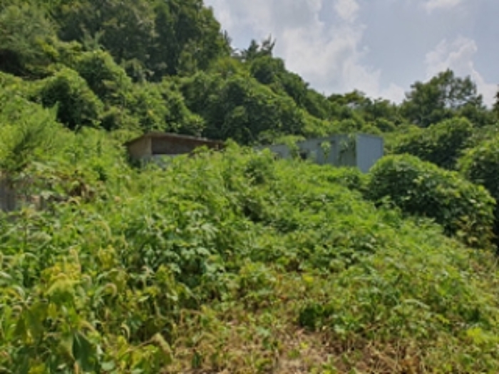 경상남도 김해시 상동면 여차리 143-18 외 8필지 단독주택 경매 사진 4