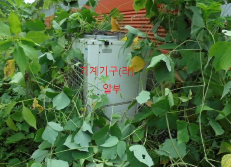 충청북도 충주시 앙성면 용대리 산17 외 8필지 동물및식물관련시설 경매 사진 11