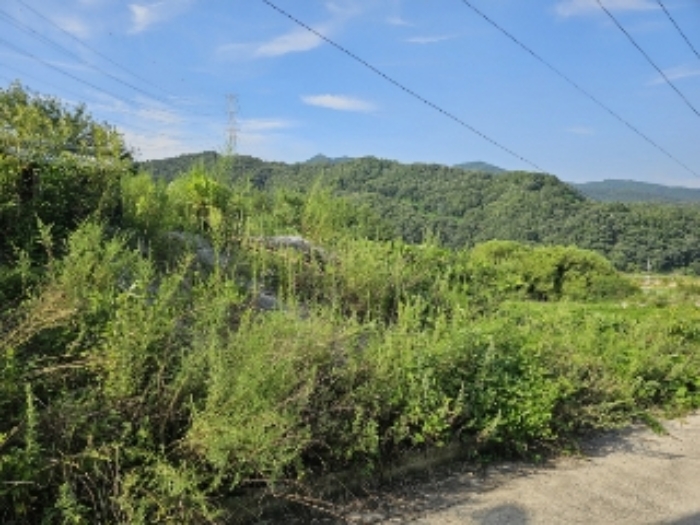 충청북도 충주시 앙성면 용대리 산17 외 8필지 동물및식물관련시설 경매 사진 33