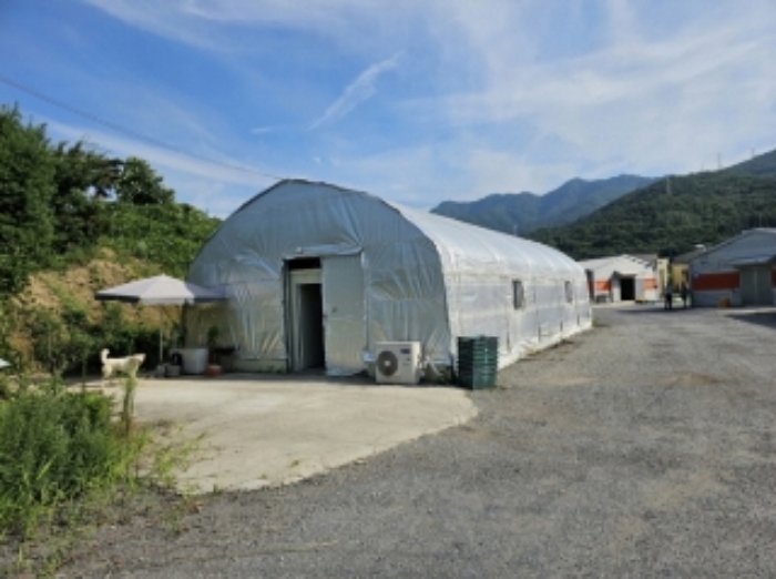 충청북도 충주시 앙성면 용대리 산17 외 8필지 동물및식물관련시설 경매 사진 42