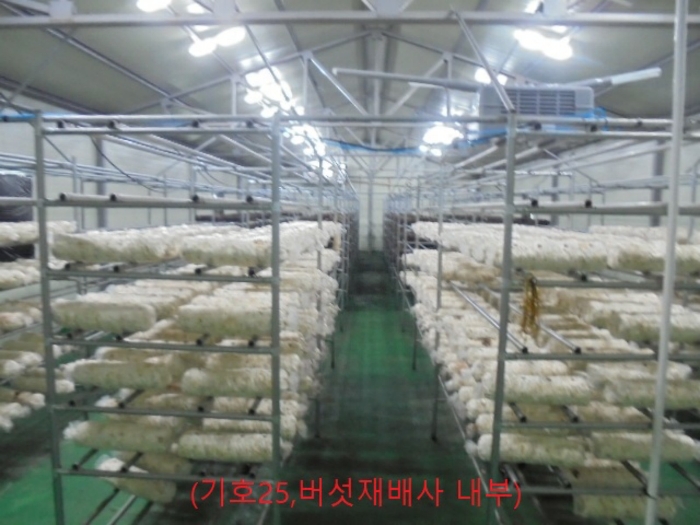 충청북도 충주시 앙성면 용대리 산17 외 8필지 동물및식물관련시설 경매 사진 87