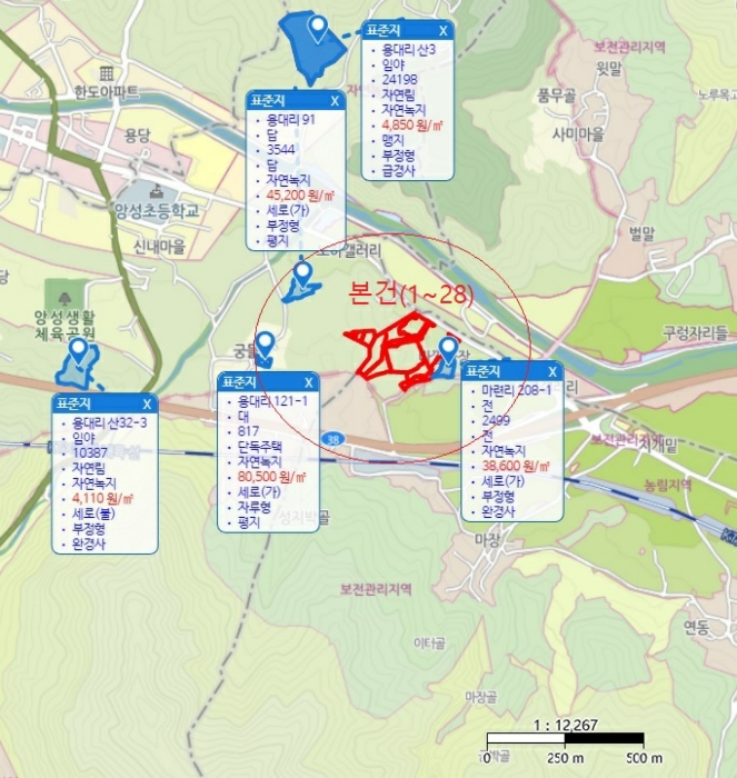 충청북도 충주시 앙성면 용대리 산17 외 8필지 동물및식물관련시설 경매 사진 91