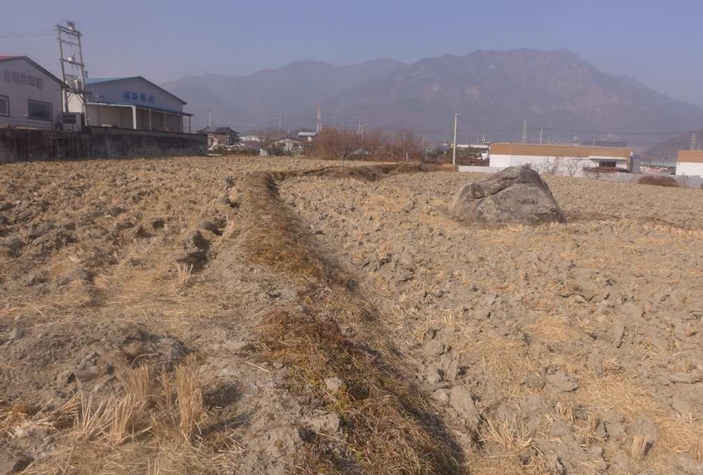 경상북도 칠곡군 북삼읍 보손리 627 외 1필지 답 경매 사진 1