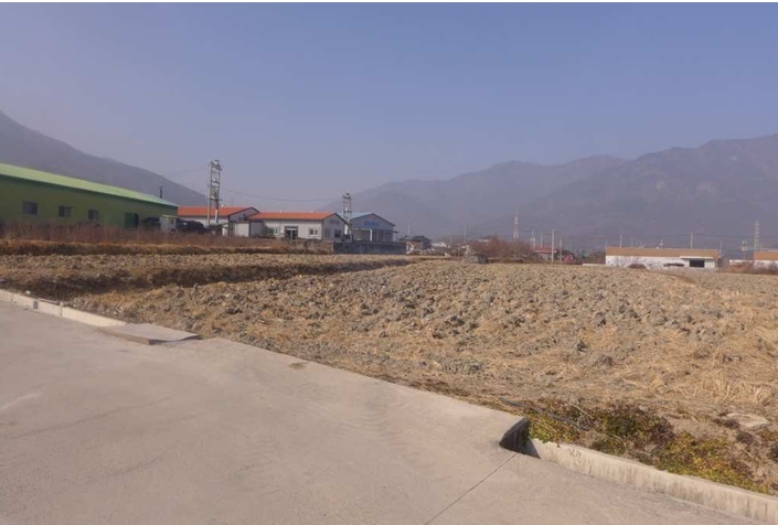 경상북도 칠곡군 북삼읍 보손리 627 외 1필지 답 경매 사진 2