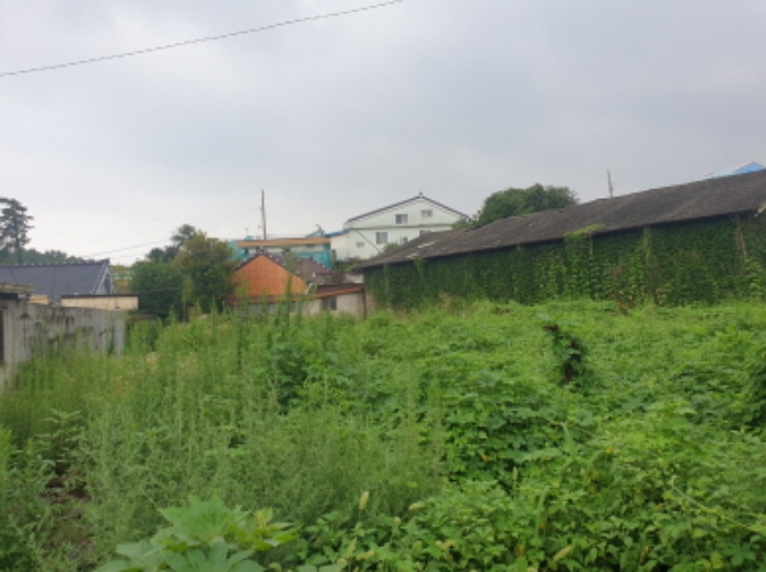 전라남도 보성군 보성읍 주봉리 239-7 외 1필지 대지 경매 사진 6