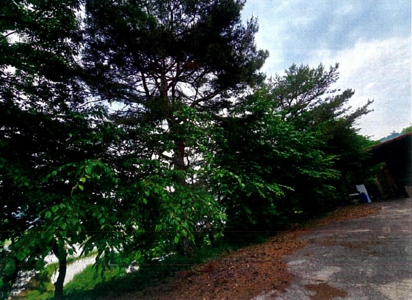 충청남도 논산시 연산면 어은리 95-1 창고 경매 사진 38